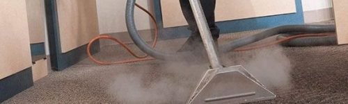 steam carpet steam carpet